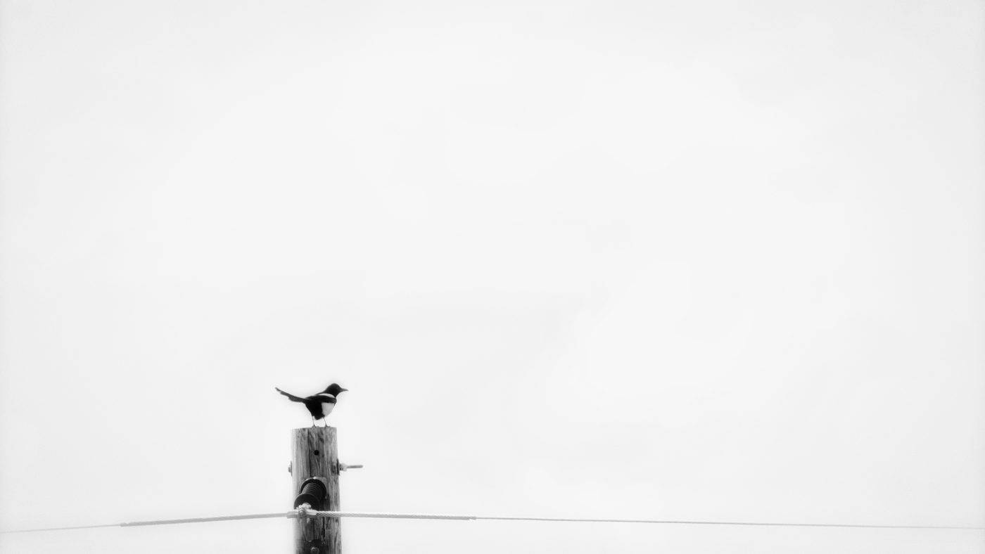 Solitude (High Country)