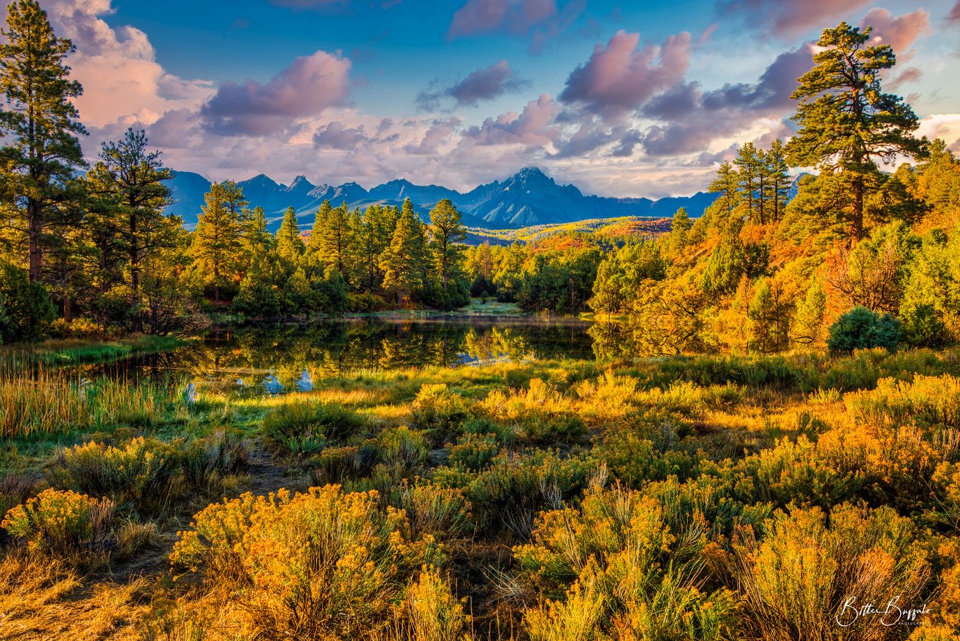 Aspen valley