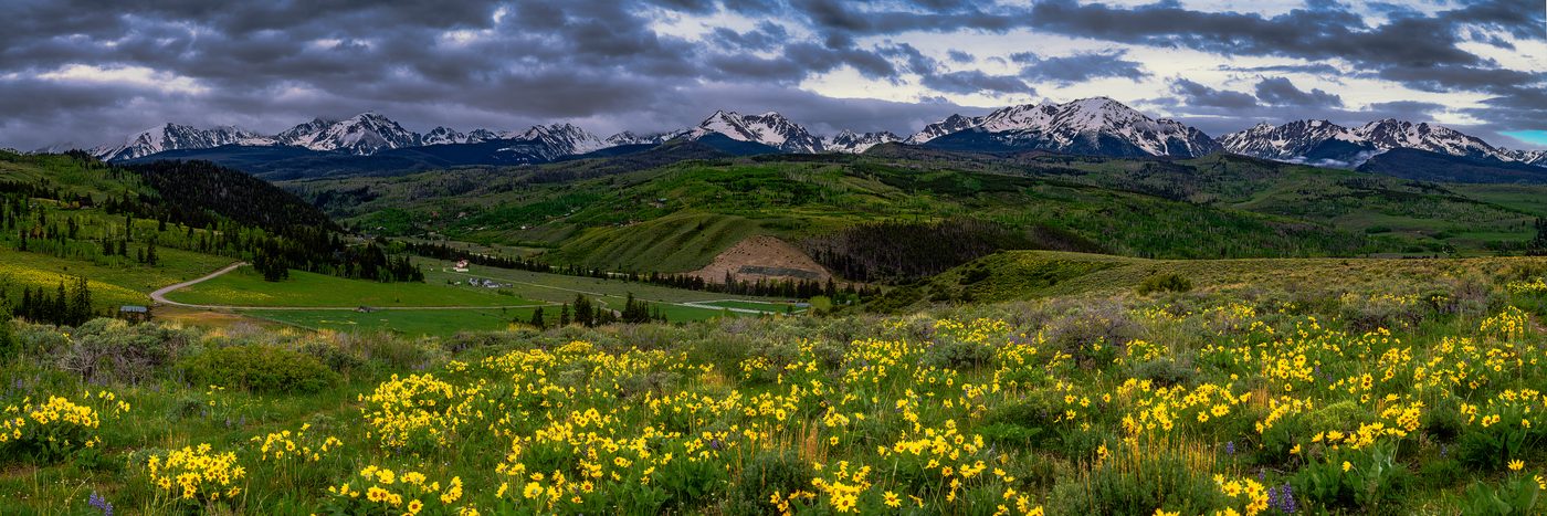Wildflower Range Panorama